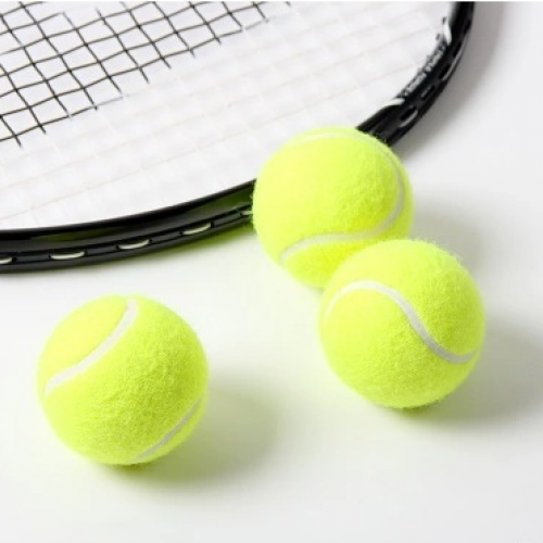 Squash Bulk Balls Tennis Ball Trainer